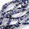 Natural Sodalite Beads Strands X-GSR4mmC013-1