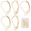 SUNNYCLUE 60Pcs 304 Stainless Steel Leverback Earring Findings STAS-SC0004-61-1