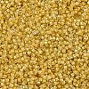 MIYUKI Delica Beads SEED-J020-DB2041-3