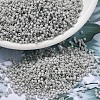 MIYUKI Delica Beads X-SEED-J020-DB2366-1