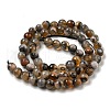 Natural Agate Beads Strands G-M437-B01-02-2