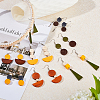 SUNNYCLUE DIY Earring Making Kits DIY-SC0001-79-5