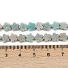Natural Amazonite Beads Strands G-B138-C10-01-5
