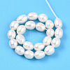 Natural Cultured Freshwater Pearl Beads Strands PEAR-N012-07W-2