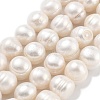 Natural Cultured Freshwater Pearl Beads Strands PEAR-C003-21B-2