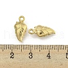 Ion Plating(IP) 304 Stainless Steel Charms STAS-I307-538G-3