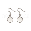 Stainless Steel Earring Hooks STAS-TA0004-02A-3