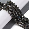 Natural Gemstone Labradorite Round Beads Strands G-E251-33-6mm-02-3