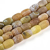 Natural Weathered Agate Beads Strands G-N344-42A-2