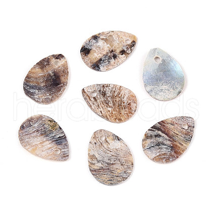 Natural Akoya Shell Pendants SHEL-T020-22-1
