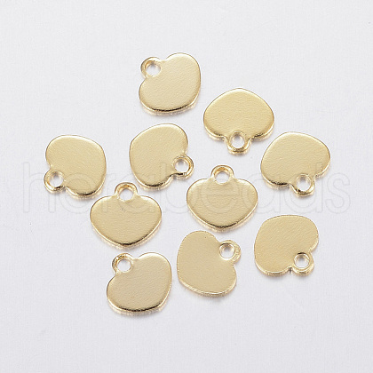 304 Stainless Steel Charms STAS-F160-29G-1