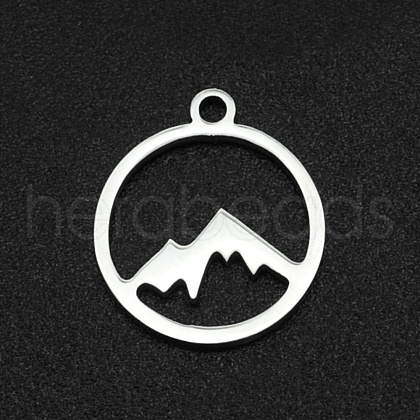 Non-Tarnish 304 Stainless Steel Charms A-STAS-N090-LA003-1