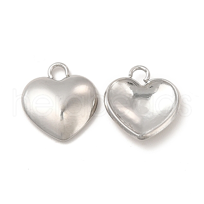 Non-Tarnish 304 Stainless Steel Charms STAS-A070-30P-1