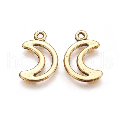 Tibetan Style Alloy Pendants GLF10650Y-1