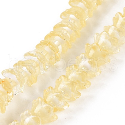 Transparent Glass Beads Strands LAMP-H061-01C-06-1