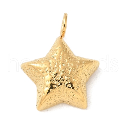 304 Stainless Steel Pendants STAS-G352-33G-1
