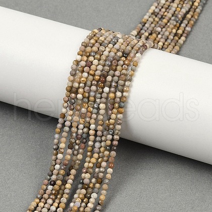 Natural Alashan Agate Beads Strands G-C181-B05-01-1