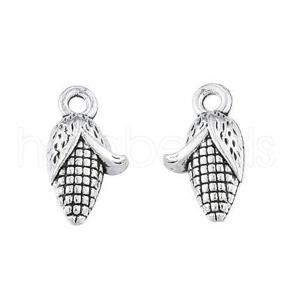 Tibetan Style Alloy Charms TIBEP-N012-18-1