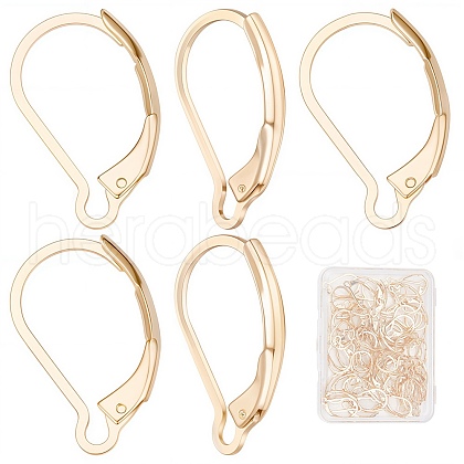 SUNNYCLUE 60Pcs 304 Stainless Steel Leverback Earring Findings STAS-SC0004-61-1