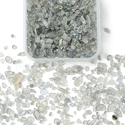 50G Natural Labradorite Beads G-YW0001-76-1