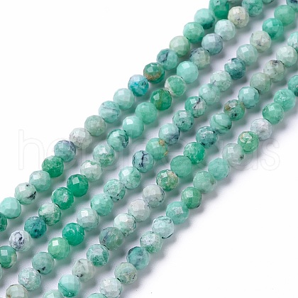 Natural Variscite Beads Strands G-C003-02-1