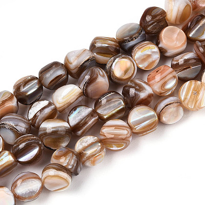 Natural Freshwater Shell Beads Strands SHEL-T020-28-1