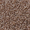 MIYUKI Delica Beads Small SEED-X0054-DBS0102-3