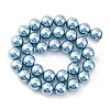 Shell Pearl Beads Strands BSHE-K015-12mm-02-4