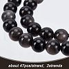 Olycraft 2 Strands Natural Silver Obsidian Beads Strands G-OC0002-61B-3