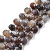 Natural Botswana Agate Beads Strands G-N327-08N-1