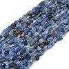 Natural Kyanite Beads Strands G-Q060-D17-2