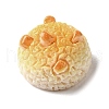 Cute Opaque Resin Cabochons RESI-L046-C05-2
