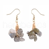 Natural Labradorite Clip Beads Dangle Cluster Earrings EJEW-JE03949-02-2
