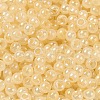 Glass Seed Beads SEED-H002-H-1308-3
