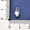 925 Sterling Silver Pendants STER-P057-07B-S-3