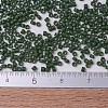 MIYUKI Delica Beads SEED-X0054-DB0797-3