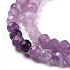 Natural Lepidolite/Purple Mica Stone Beads Strands G-C009-A04-4