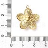 304 Stainless Steel Pendants STAS-P395-10B-G-3
