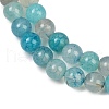 Natural Agate Beads Strands G-J361-01-8mm-5