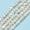 Natural Cultured Freshwater Pearl Beads Strands PEAR-A005-05I-01-2