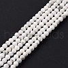 Natural Howlite Beads Strands G-H273-02A-2