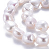 Natural Keshi Pearl Beads Strands PEAR-S020-X01-4