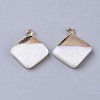 Electroplate Freshwater Shell Pendants X1-SHEL-S276-64-2