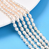 Natural Cultured Freshwater Pearl Beads Strands PEAR-N012-04U-1