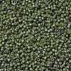 MIYUKI Delica Beads SEED-X0054-DB0391-3