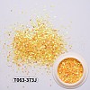 Shiny Nail Art Glitter Flakes MRMJ-T063-373J-2