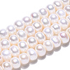 Natural Cultured Freshwater Pearl Beads Strands PEAR-N015-08A-3