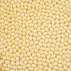 Baking Painted Glass Seed Beads SEED-C004-04A-2