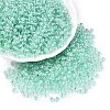 6/0 Transparent Inside Colours Glass Seed Round Beads X1-SEED-N006-004C-1
