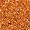 MIYUKI Delica Beads SEED-J020-DB0045-3